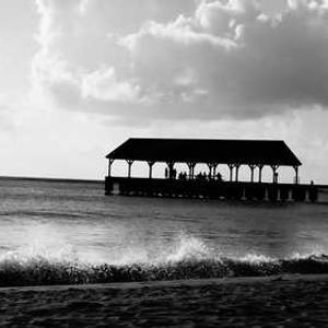 miami 1688 ระบบเข้ากันได้ กระเป๋าคริปโต